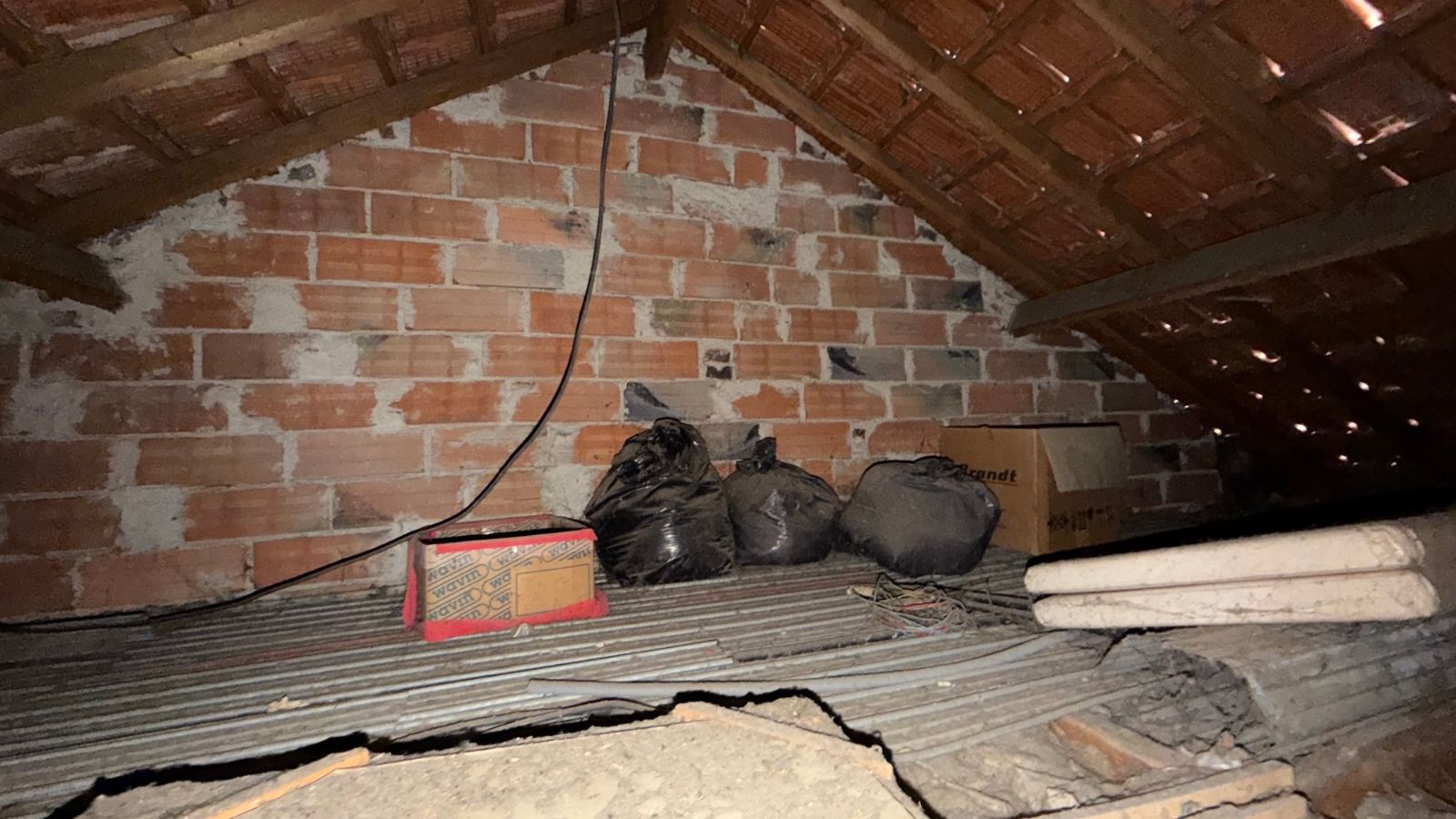 image-bien